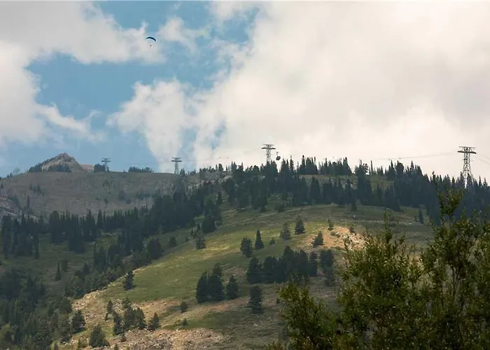 Rmr: Sleeping Indian West 1 In *